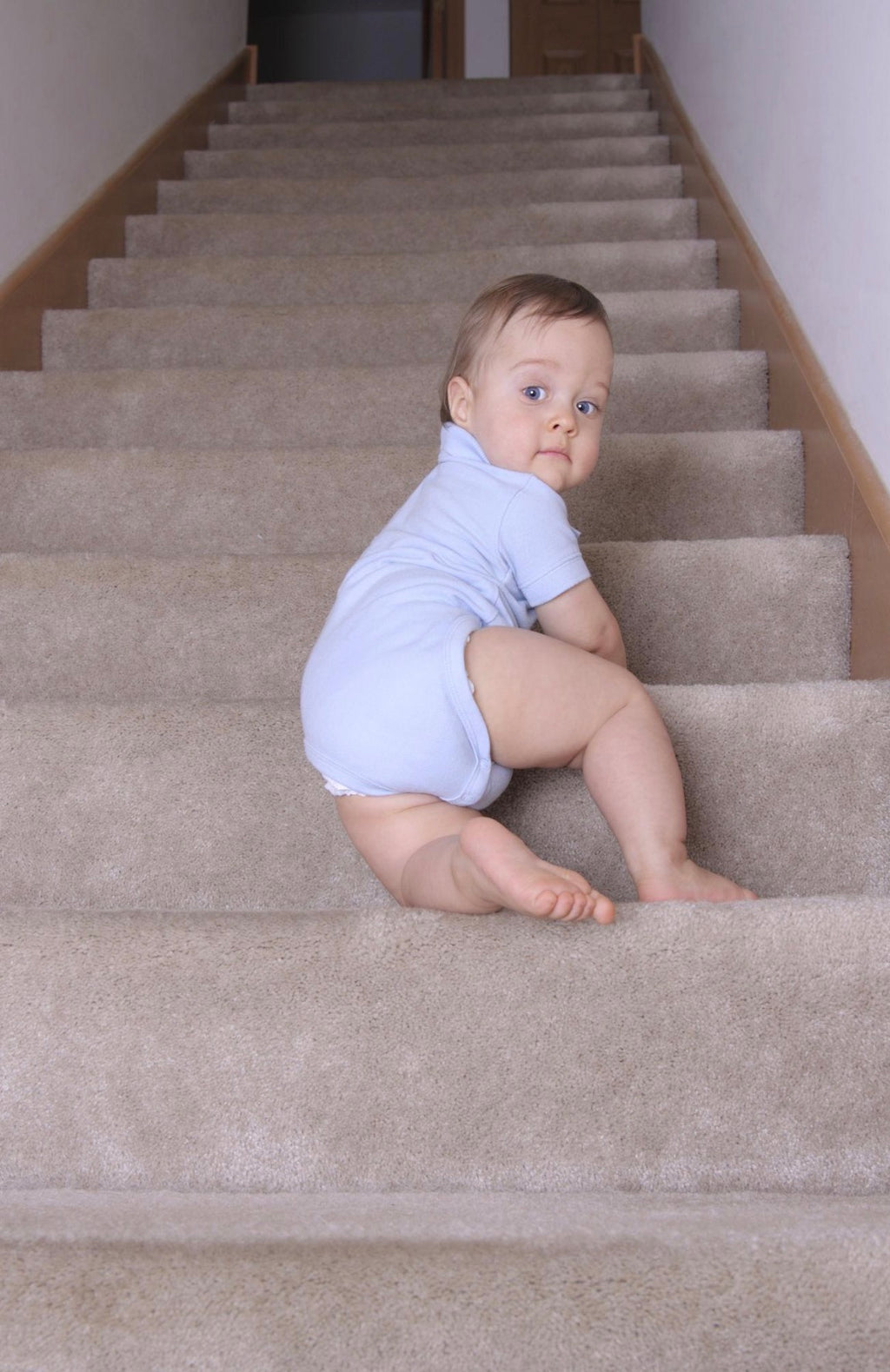 SmartTot Retractable Baby Gate — Extends to 55 Inches, Climb-Proof Mesh